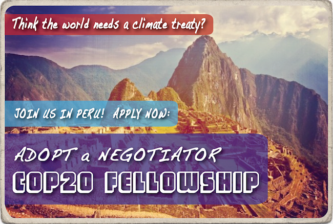 Adopt a Negotiator - COP20 Fellowship