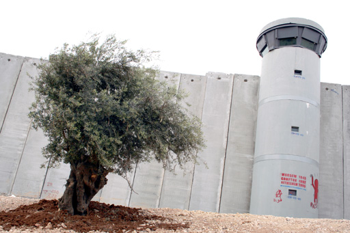 PENGON/Anti-Apartheid Wall Campaign Photo PENGON/Anti-Apartheid Wall Campaign Photo