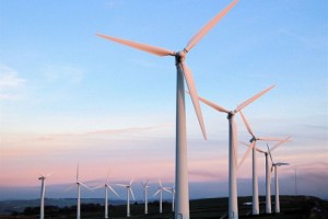 windfarm-537x395