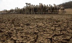 Drought-starts-to-bite-in-001